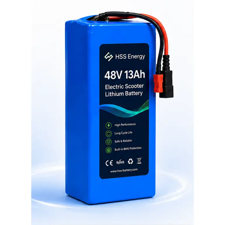 Pin lithium xe điện 48V 13Ah